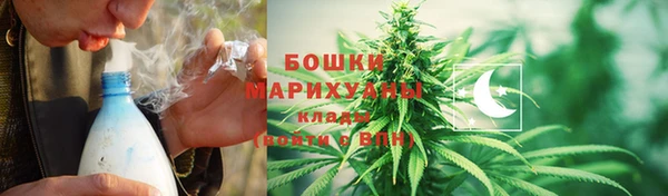 прущий лед Алзамай