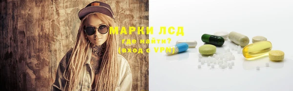 прущий лед Алзамай