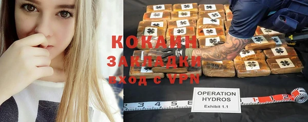 стаф Алексеевка
