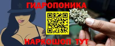 мдпв Дмитров