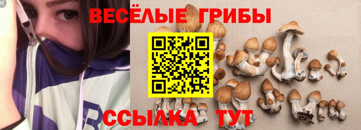 Галлюциногенные грибы Cubensis Ачинск