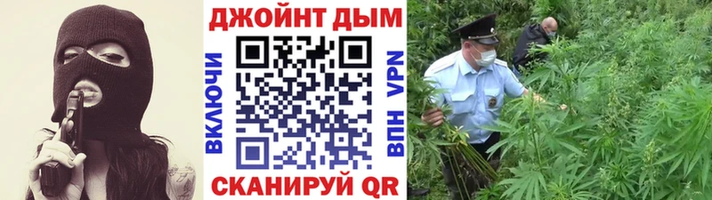 Конопля планчик  купить  сайты  Ачинск 